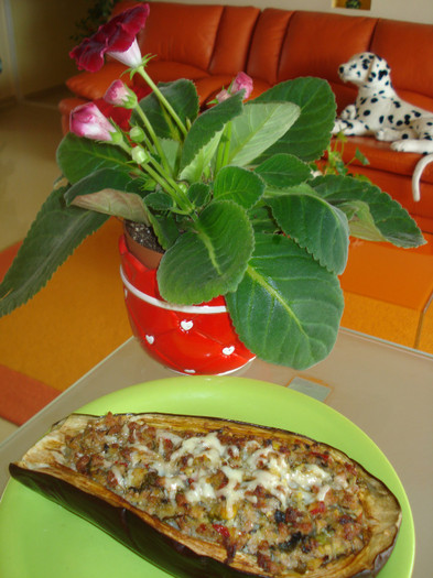 FASOLE VERDE,MARAR,PATRUNJEL..