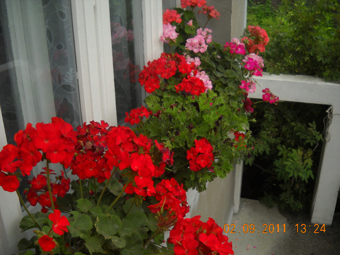 DSCN1598_1840 - inceput de toamna