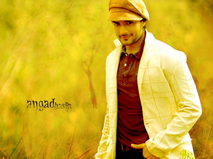 31146213_JGVVZZEHH - Angad poze din tel
