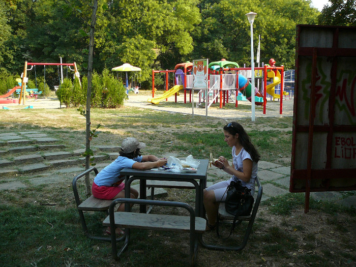 P1310226 - Bucuresti 2011- in trecere