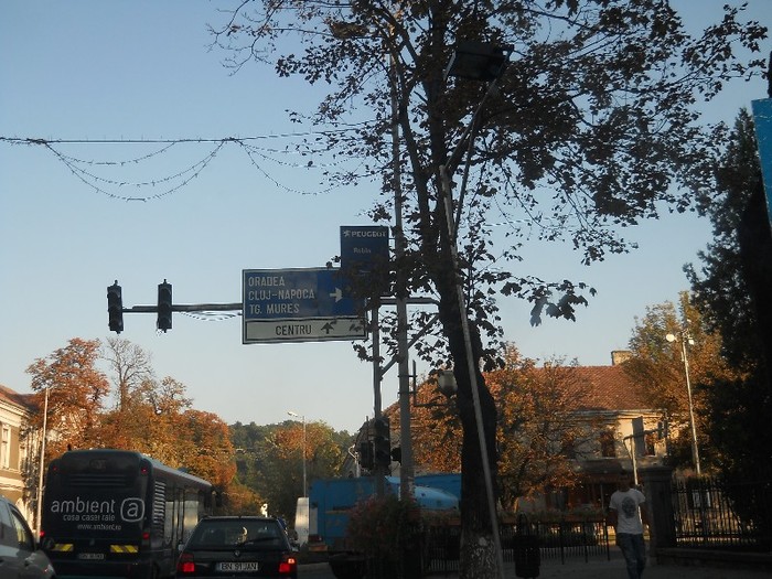 Picture 197 - Lung ii drumul Clujului