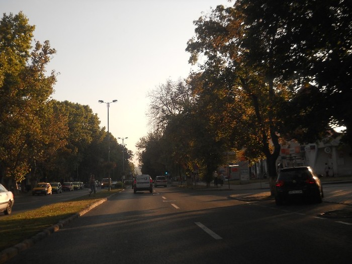 Picture 198 - Lung ii drumul Clujului