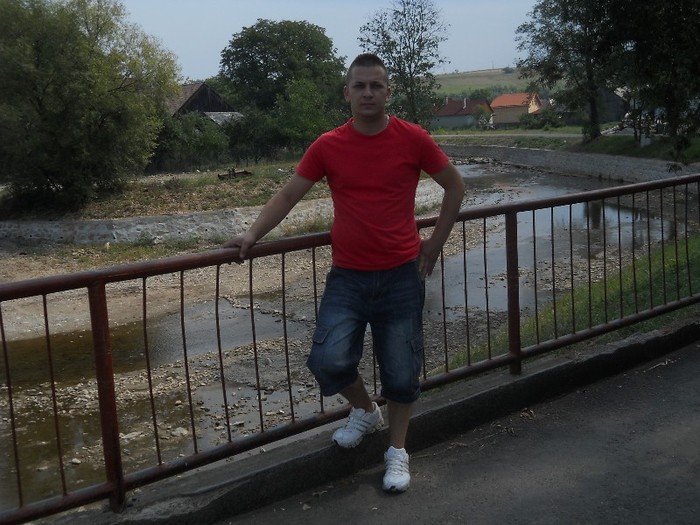 Picture 276