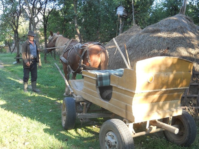 Marton bàtya pleacă in recunoştere
