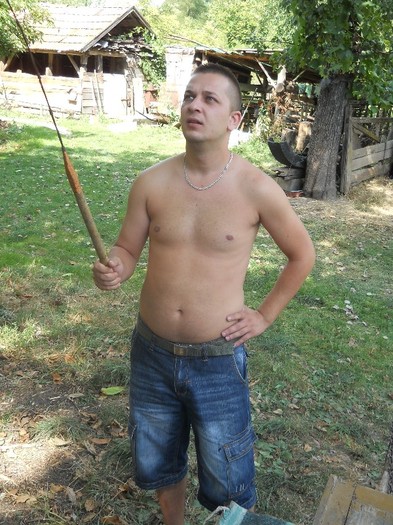Picture 338