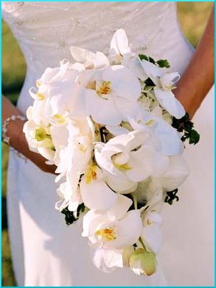 file_1497_m - Buchetul miresei