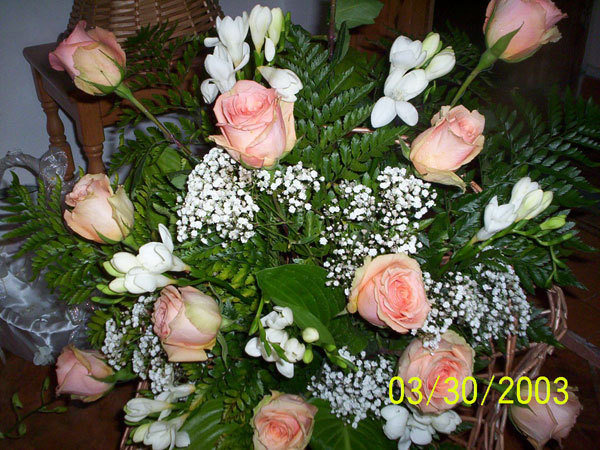 poza_cosuri_01