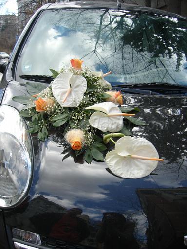 Wedding Car Decorations 1