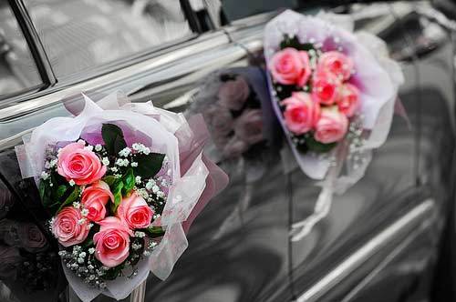 Wedding Car Decorations and Accessories 1