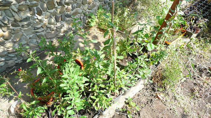 P1250195