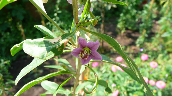 P1250213
