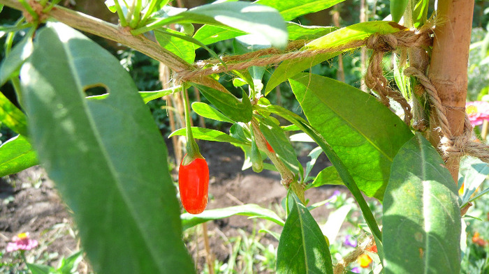 P1250219
