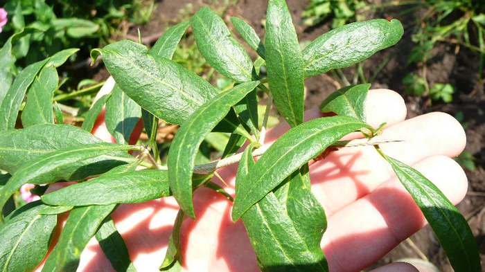 P1250222