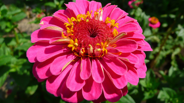 P1250223
