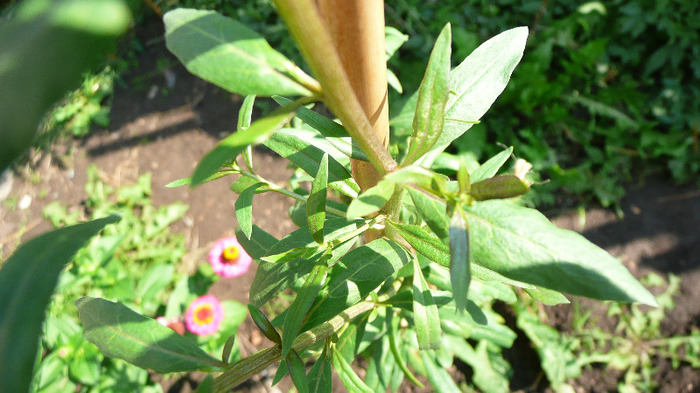 P1250226
