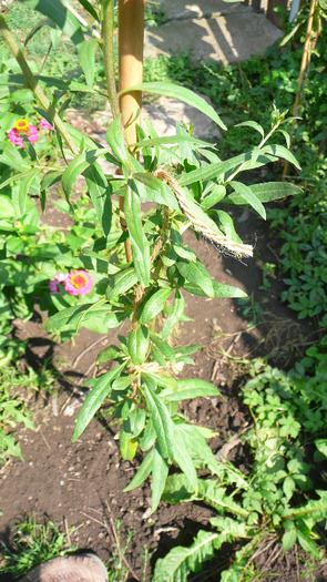 P1250228