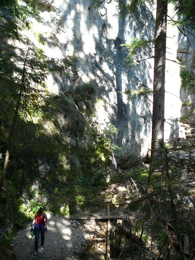 P1310052 - Cascada Tamina si Predeal