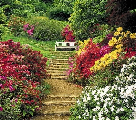 Copy of gardens-4superb