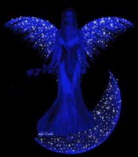 images (8) - Poze glitter