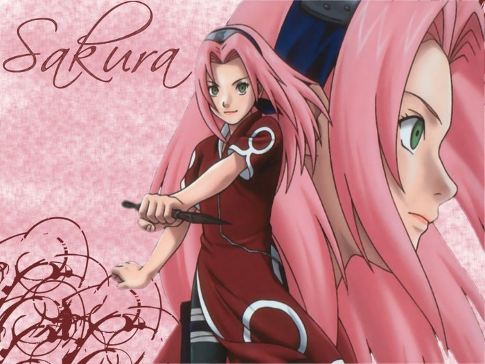 Cute-Sakura-haruno-sakura-5956346-1024-768 - sackura din naruto