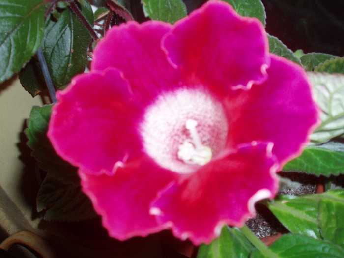 P8234078