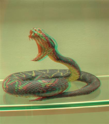 anaglyphic snake real 3d www.ochelaristu.com