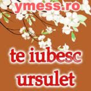 KCAFTH37VCA36A7O7CAMS3KQOCAXI4JMRCA9BCUBRCABX8I0TCA2F0FSRCA7NIKIKCA6DKOWGCASXP720CAZNRGTACAJN7SJ9CAH