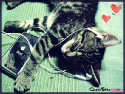 ♥♫Music is Love♫♥ - 0 Music Is My Escape 0