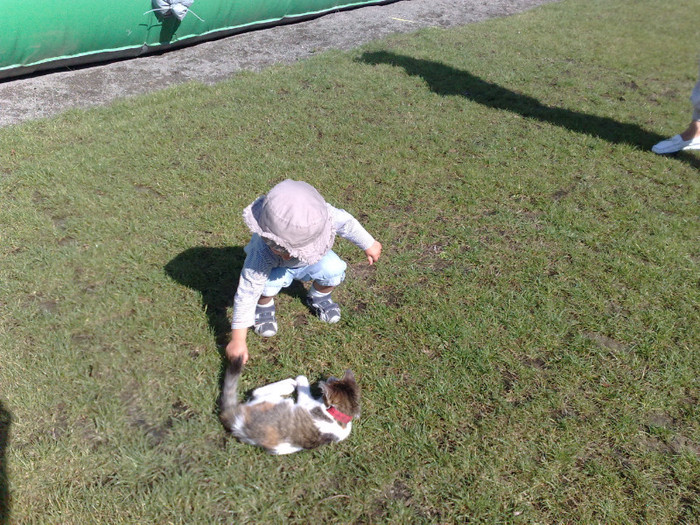 am gàsit o pisicutà - ANDREI IN VACANTA ANTALIA SI BRASOV