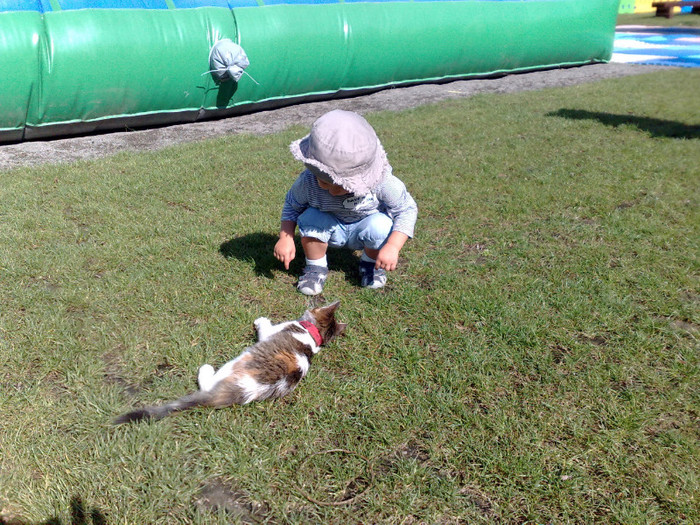 pisicutà jucàusà - ANDREI IN VACANTA ANTALIA SI BRASOV