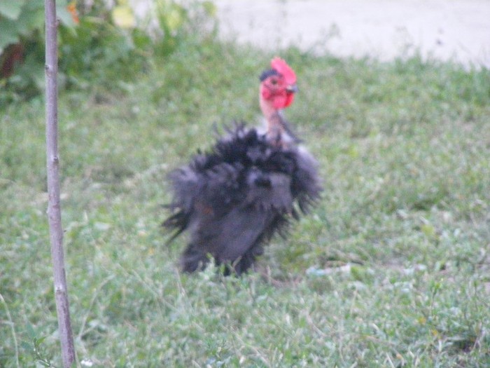 DSCF7926
