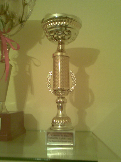 campion pe rasa 2010 - cupe si diplome