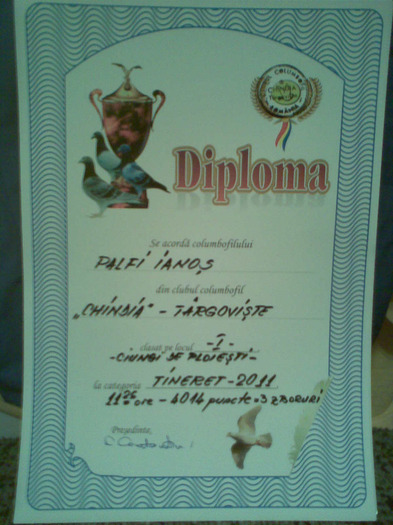 017 - cupe si diplome