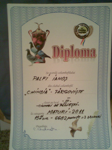 018 - cupe si diplome