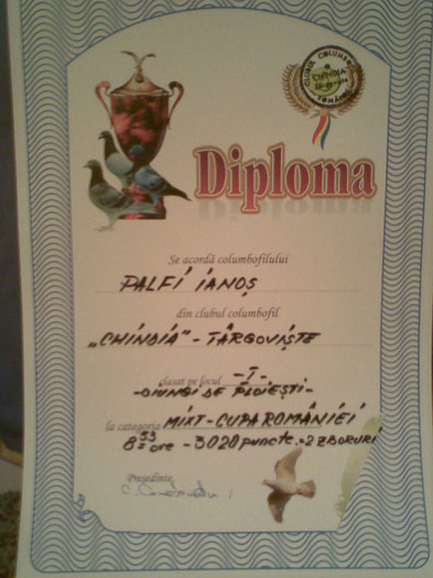 019 - cupe si diplome