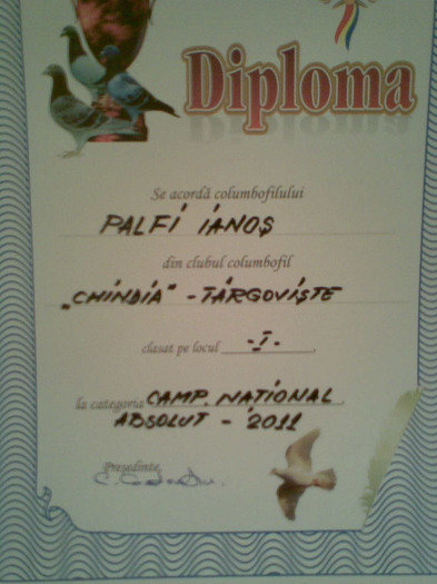 020 - cupe si diplome