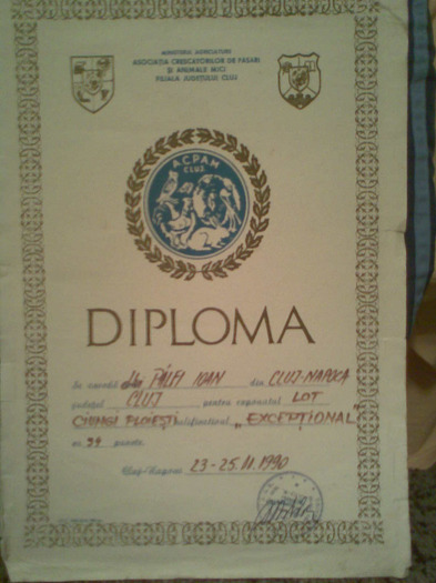 032 - cupe si diplome