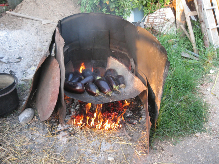 Vinete coapte,dovlecel ,patrunjel la congelator,aug.2011 - Diverse borcaneli