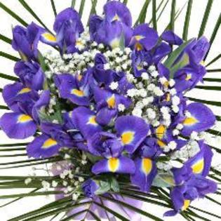 veti vedea ce sa intimplat dupa