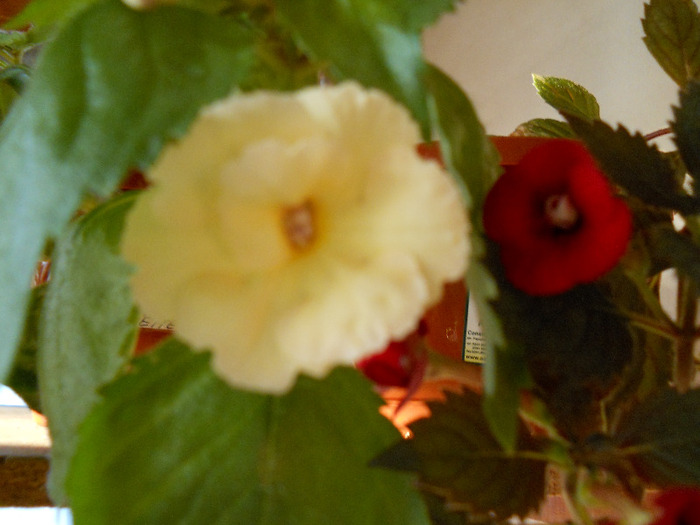 DSCN1027