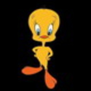 80x80_cartoon0058_jVvLcf7RI3mP6bZlArYjg - tweety