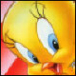 80x80_cartoon0166_4djW62fFlPC0E6PCcmg3w - tweety