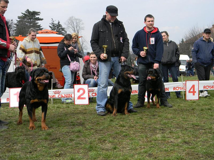 Locul 2 pe tara la cupa Tirnavei - CATEA ROTTWEILER LOCUL 2 PE TARA LA CUPA TIRNAVEI