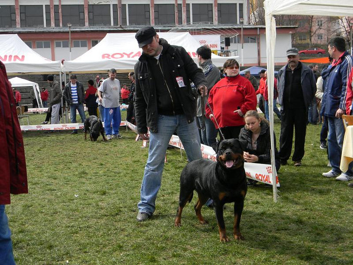 Agnes la concurs. - CATEA ROTTWEILER LOCUL 2 PE TARA LA CUPA TIRNAVEI