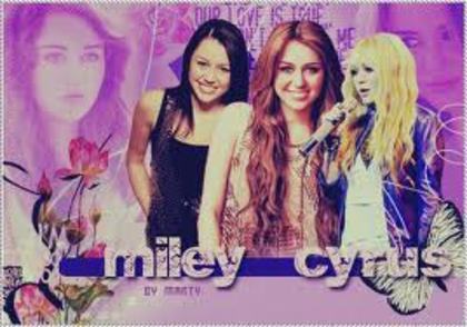 images (3) - miley