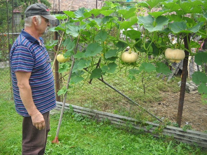 Stapanul "ciupercariei" - FERMA LUI NENEA TONY