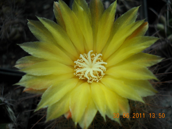 DSCN5479