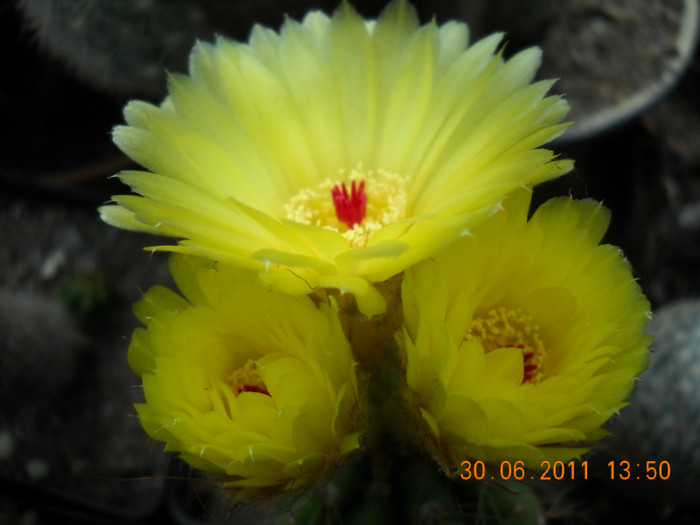 DSCN5480