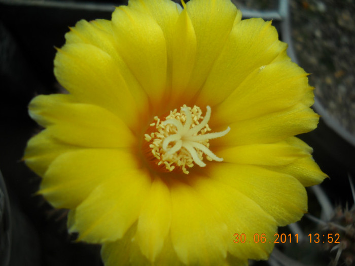 DSCN5489
