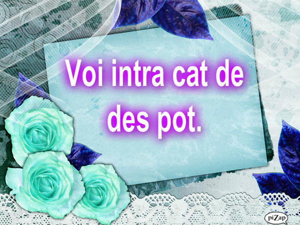 Voi intra cat de des pot. - 0 Anunt 0